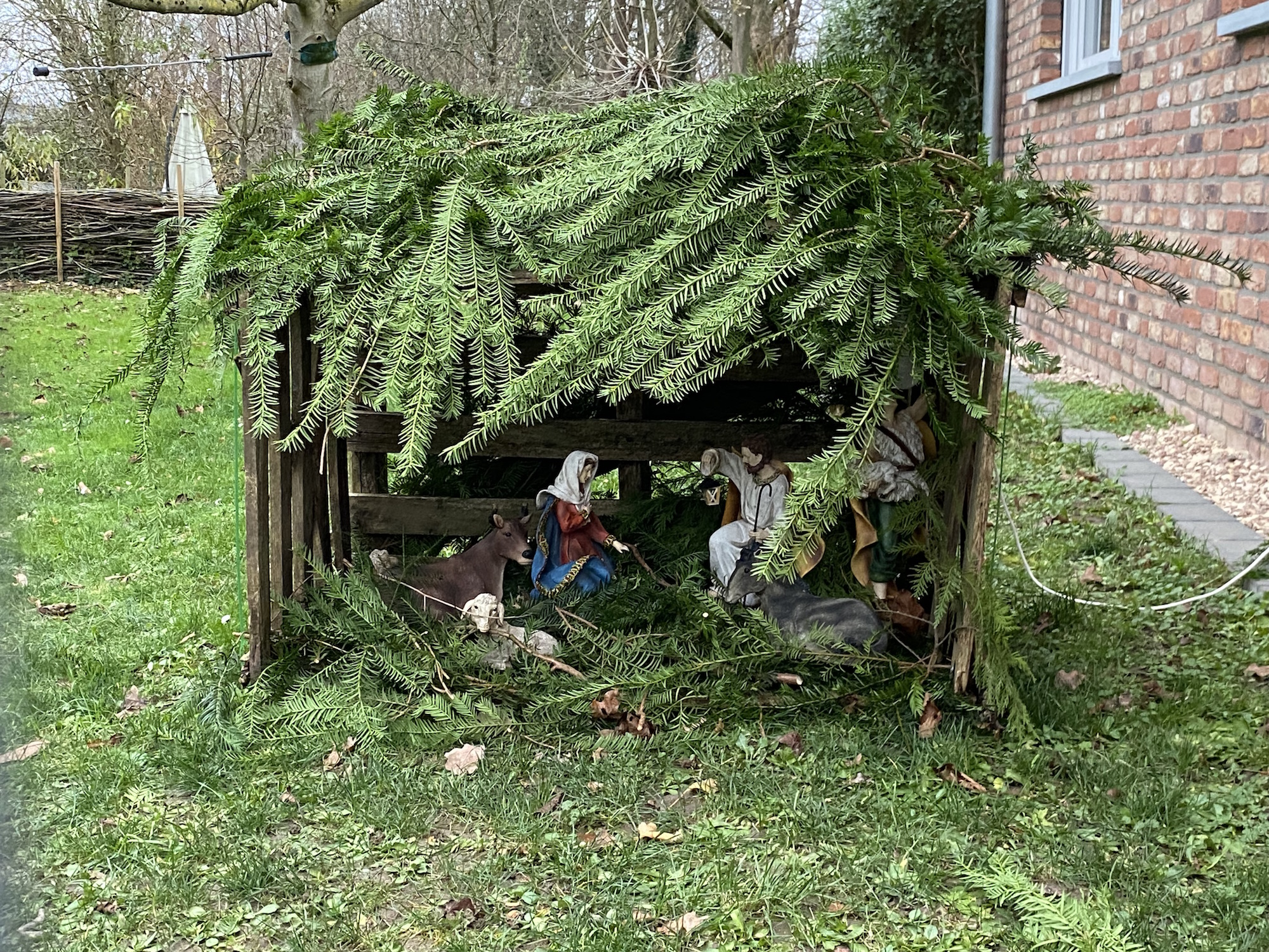 Viel Grün und Natur zeichnet diese Krippe in einem Garten aus. Der Stall ist zugig, wie wohl auch der echte Stall gewesen sein dürfte.