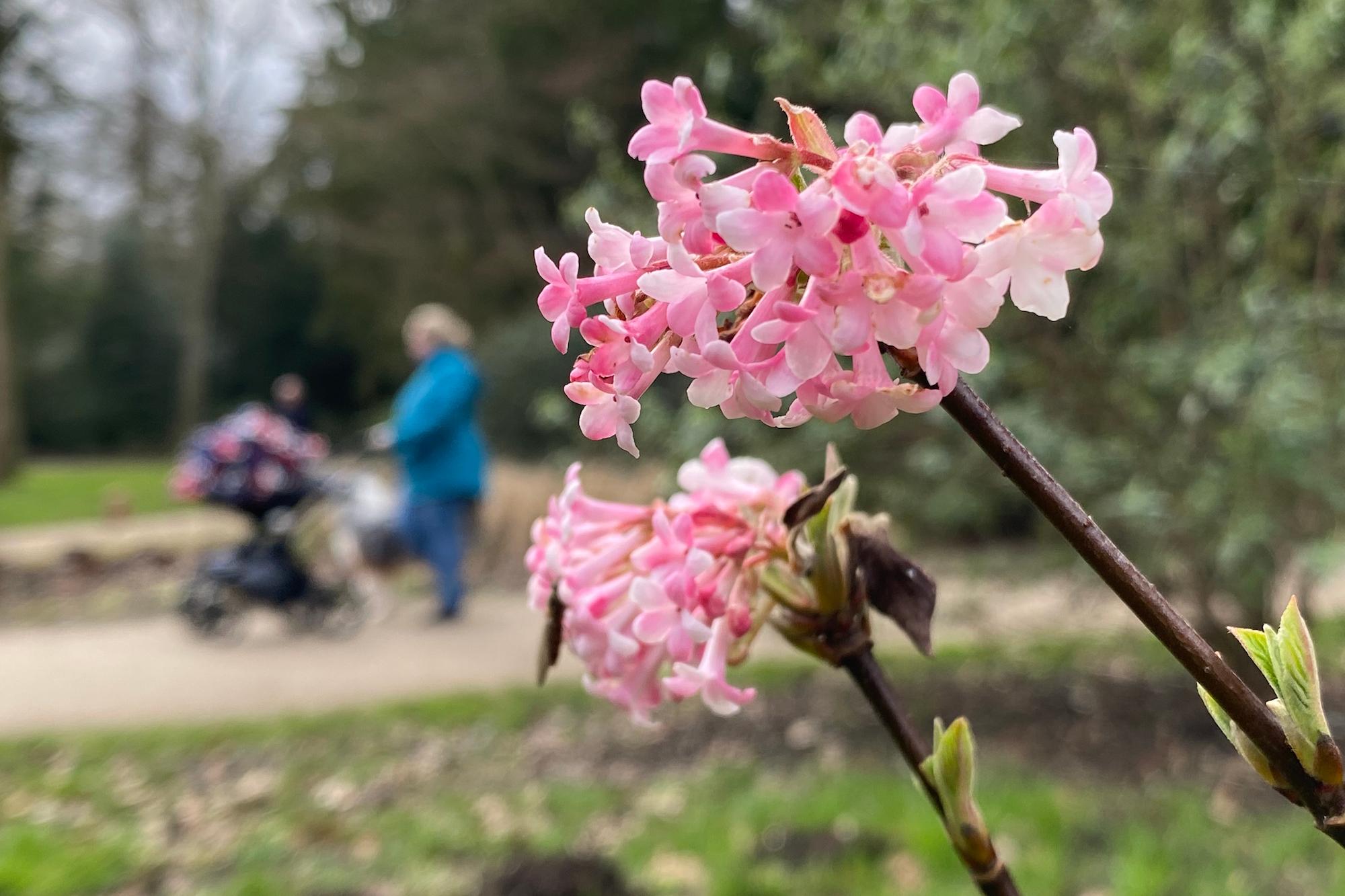 Die Natur blüht im Frühling wieder auf. Das Leben geht weiter.