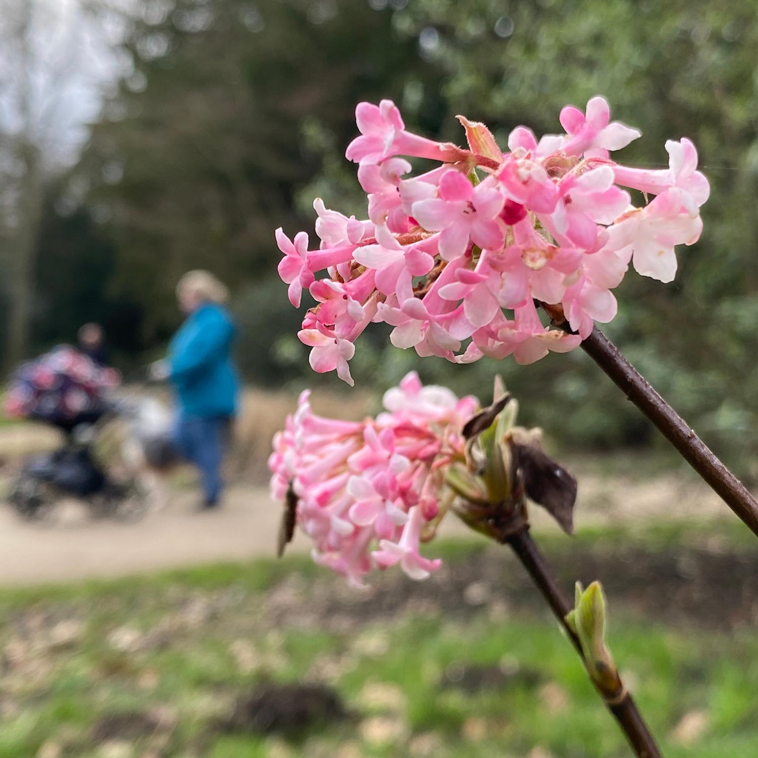 Die Natur blüht im Frühling wieder auf. Das Leben geht weiter.