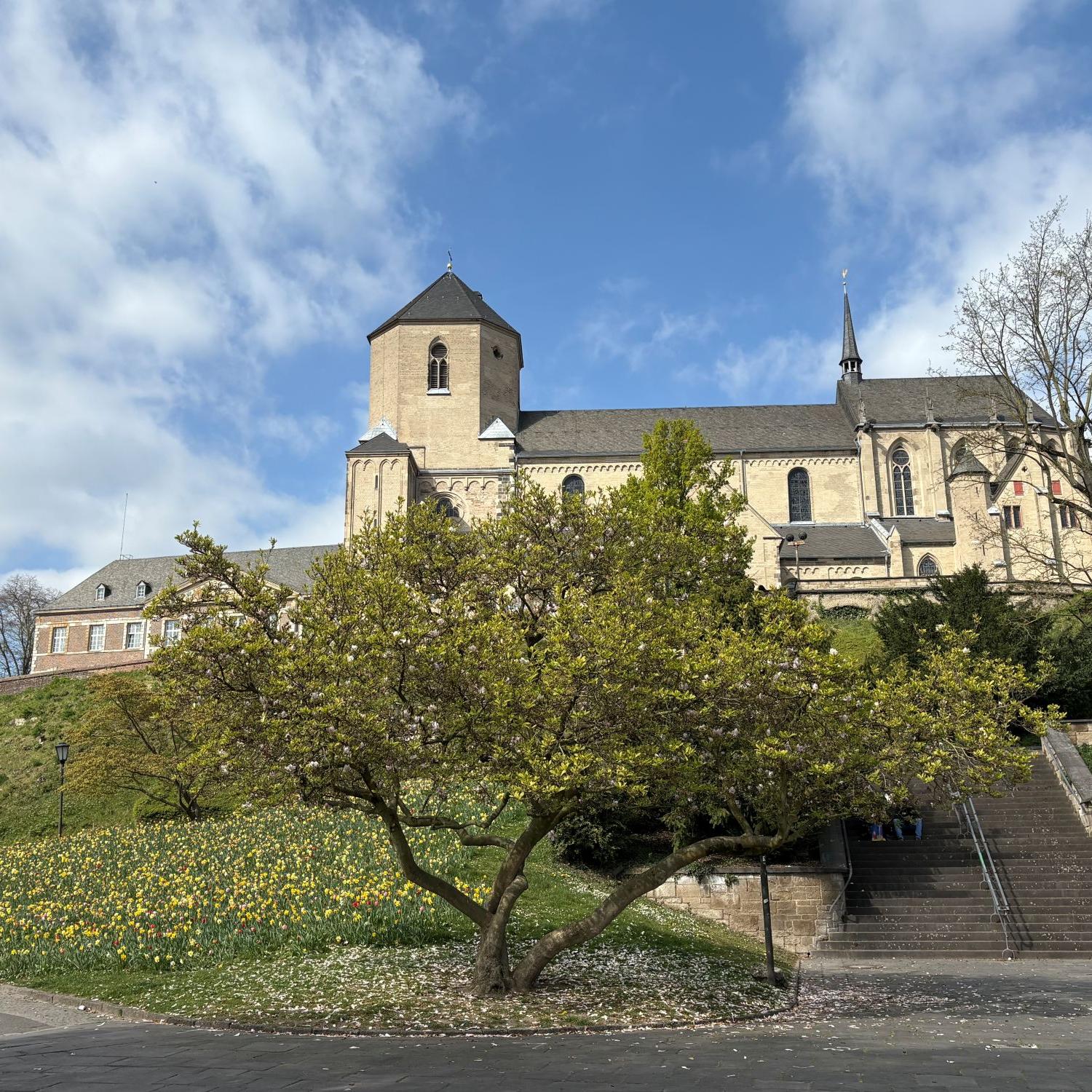 Die Münster-Basilika auf dem Abteiberg ist das Wahrzeichen der Stadt Mönchengladbach.