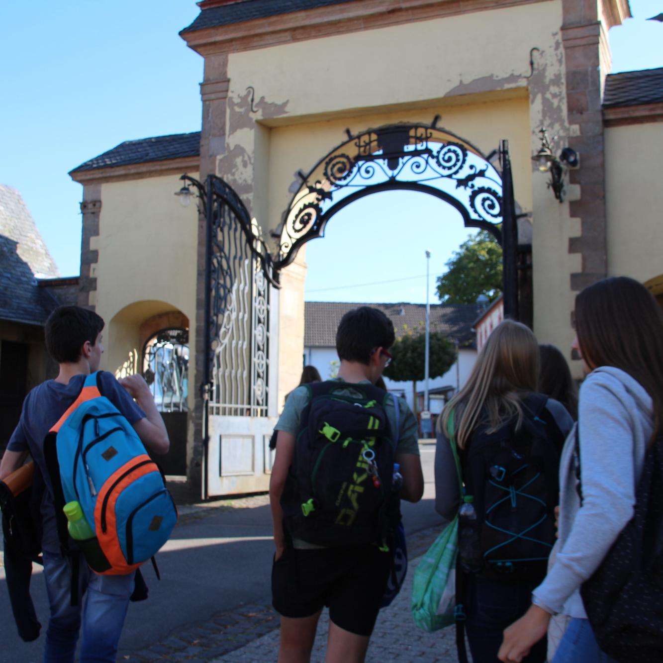 Rund 700 Schülerinnen und Schüler besuchen das Gymnasium in Steinfeld.