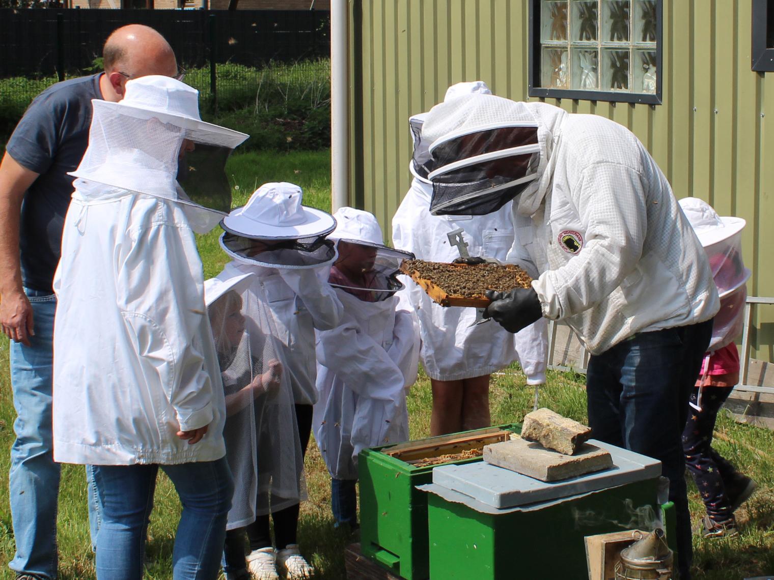 Imker Manfred Kochs zeigt einer Kleingruppe den Aufbau des Bienenstocks und die Zusammenarbeit im Bienenvolk.