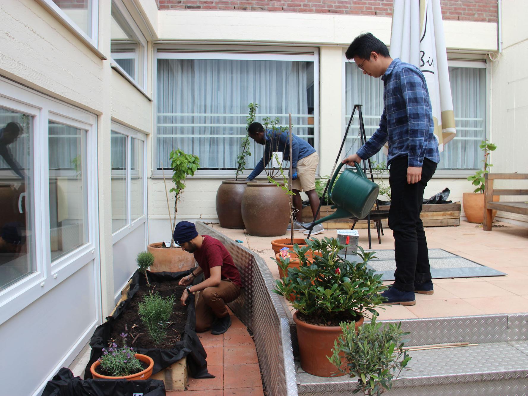Jeder hilft mit und zusammen mit den Pflanzen wächst auch die Gemeinschaft zwischen den Studierenden.