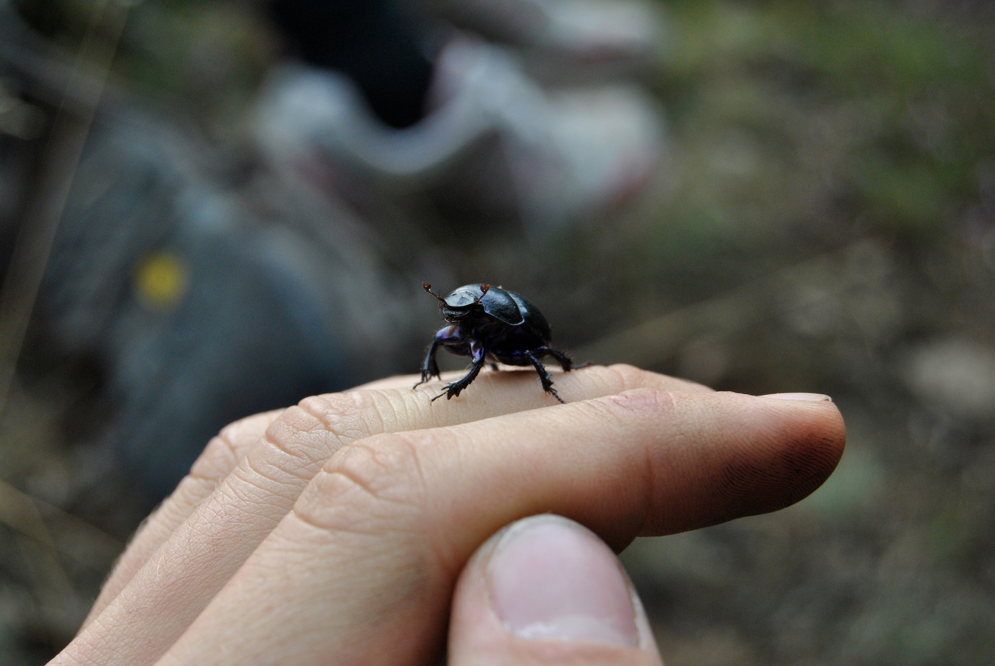 Jungen Menschen fehle der Zugang zur Natur, beschreibt Nationalpark Seelsorger Georg Toporowsky.