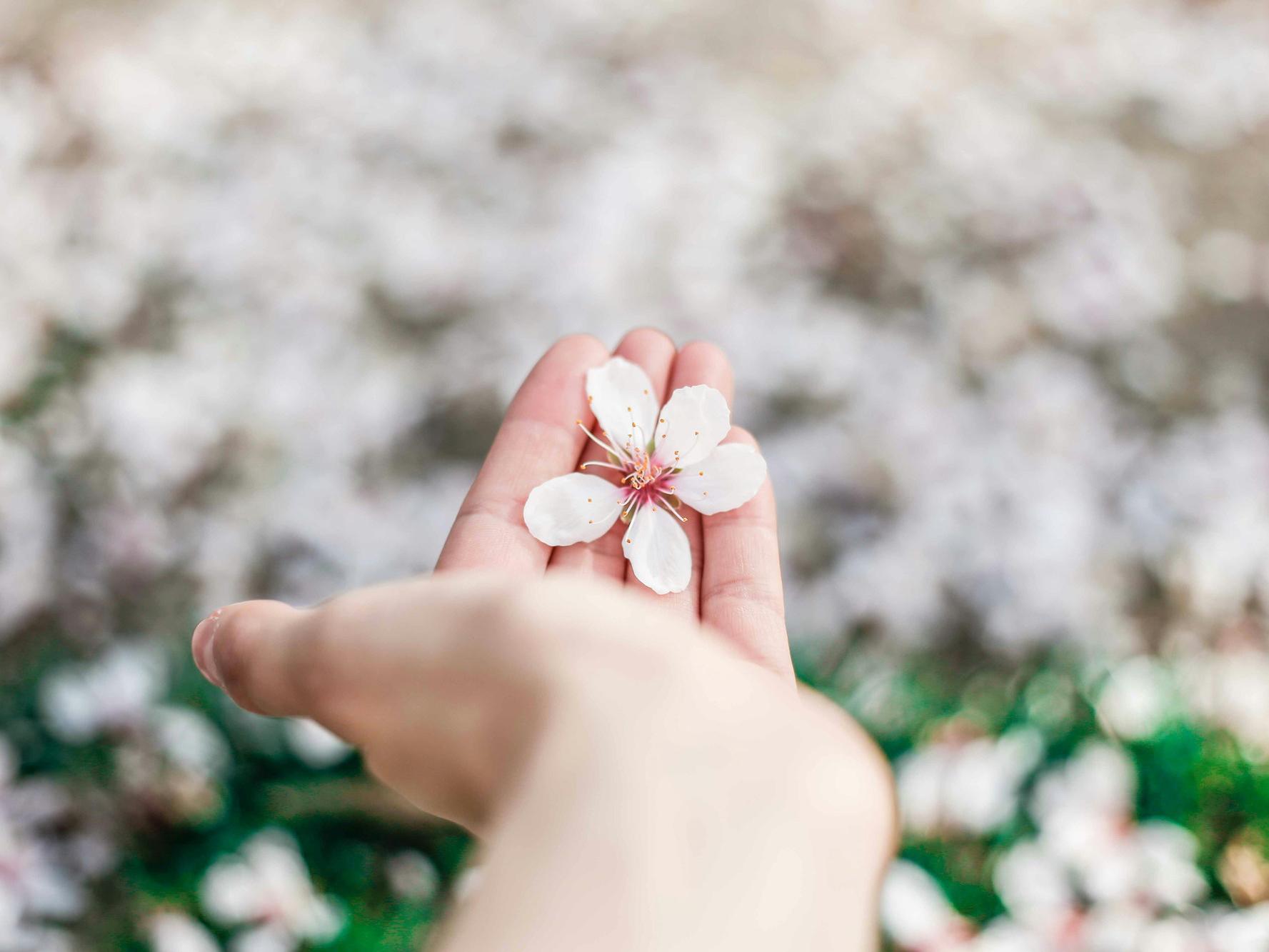 Gegen ein „Mir und meinen Leuten zuerst“ (c) Ornella Binni/unsplash.com