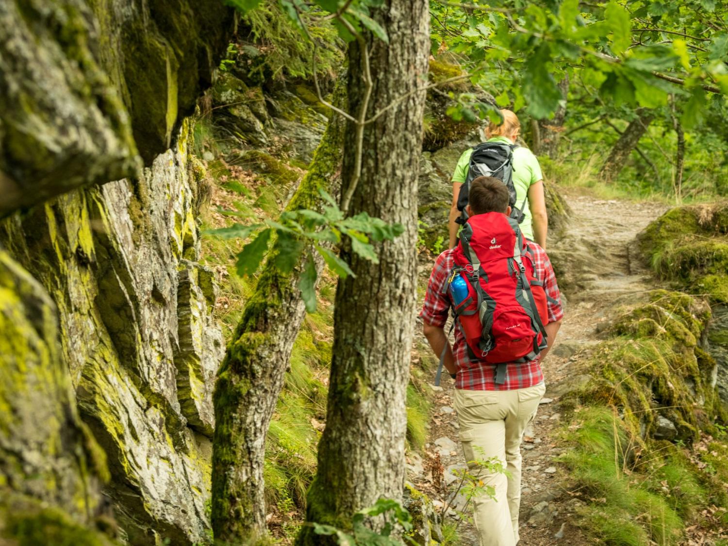 Unterwegs auf dem „Schöpfungspfad“: Der Weg führt vorbei an Schieferhöhlen und Bächen, über die Dreiborner Hochfläche und durch naturbelassene Buchenwälder.