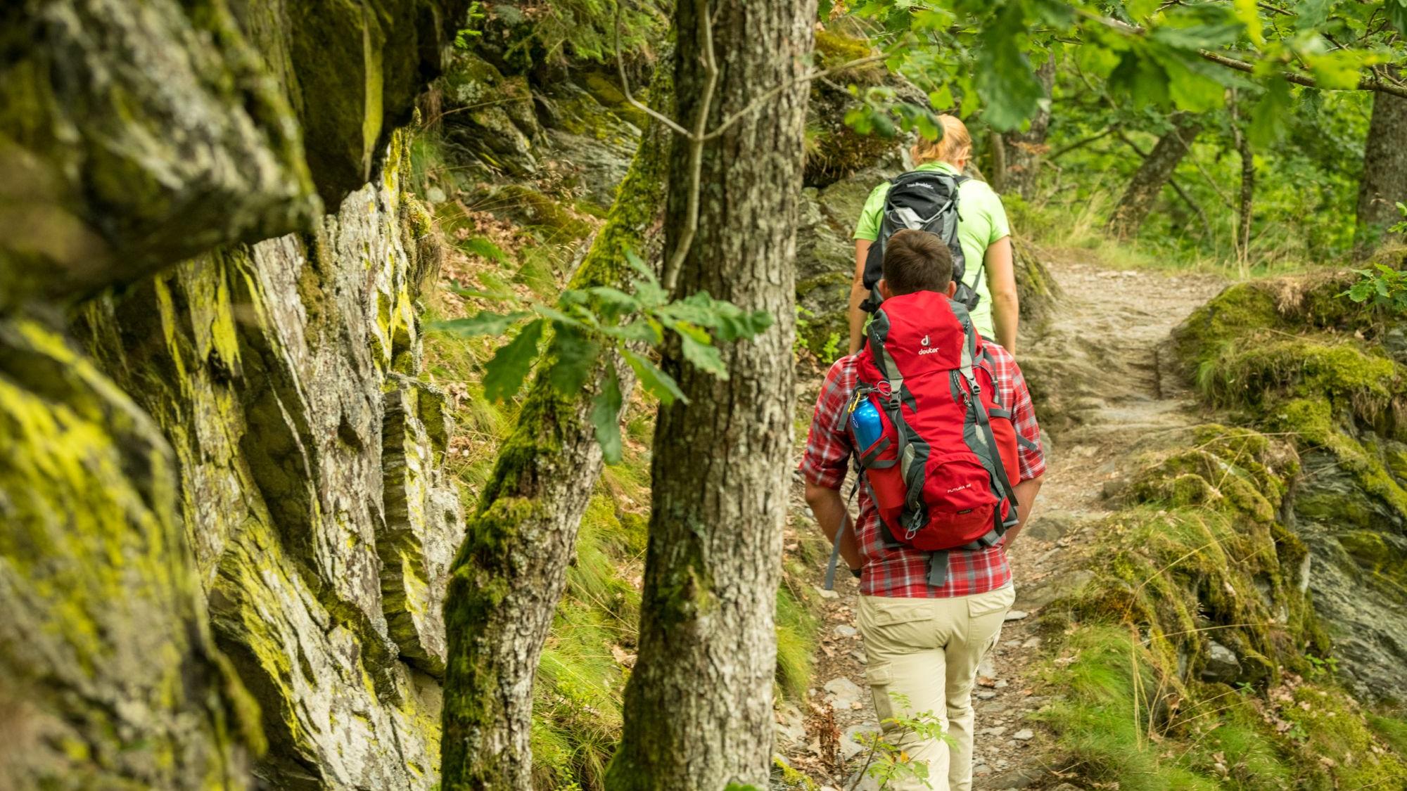 Unterwegs auf dem „Schöpfungspfad“: Der Weg führt vorbei an Schieferhöhlen und Bächen, über die Dreiborner Hochfläche und durch naturbelassene Buchenwälder.
