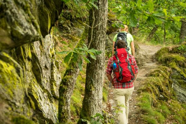 Unterwegs auf dem „Schöpfungspfad“: Der Weg führt vorbei an Schieferhöhlen und Bächen, über die Dreiborner Hochfläche und durch naturbelassene Buchenwälder.