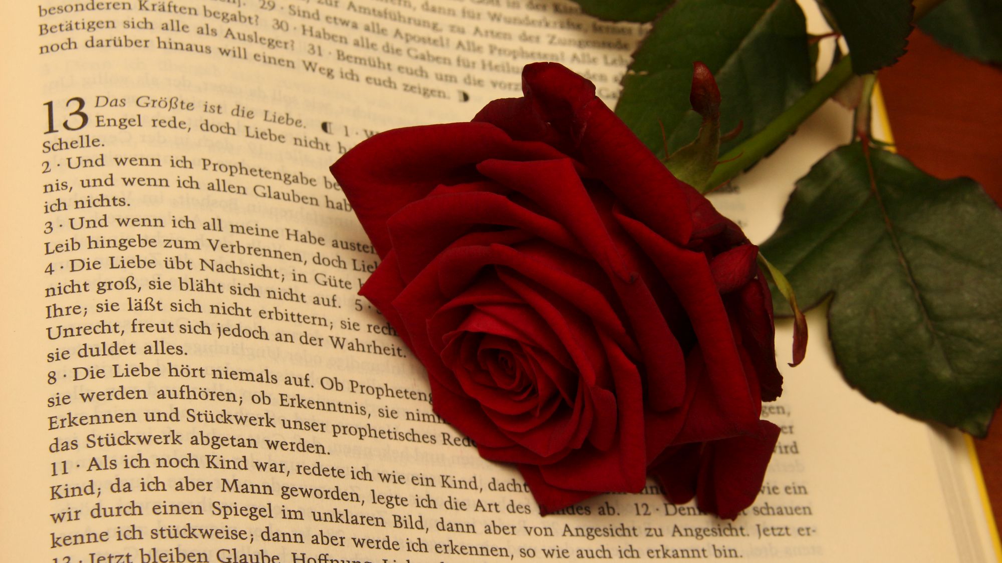 Die Liebe Hort Niemals Auf Bistum Aachen