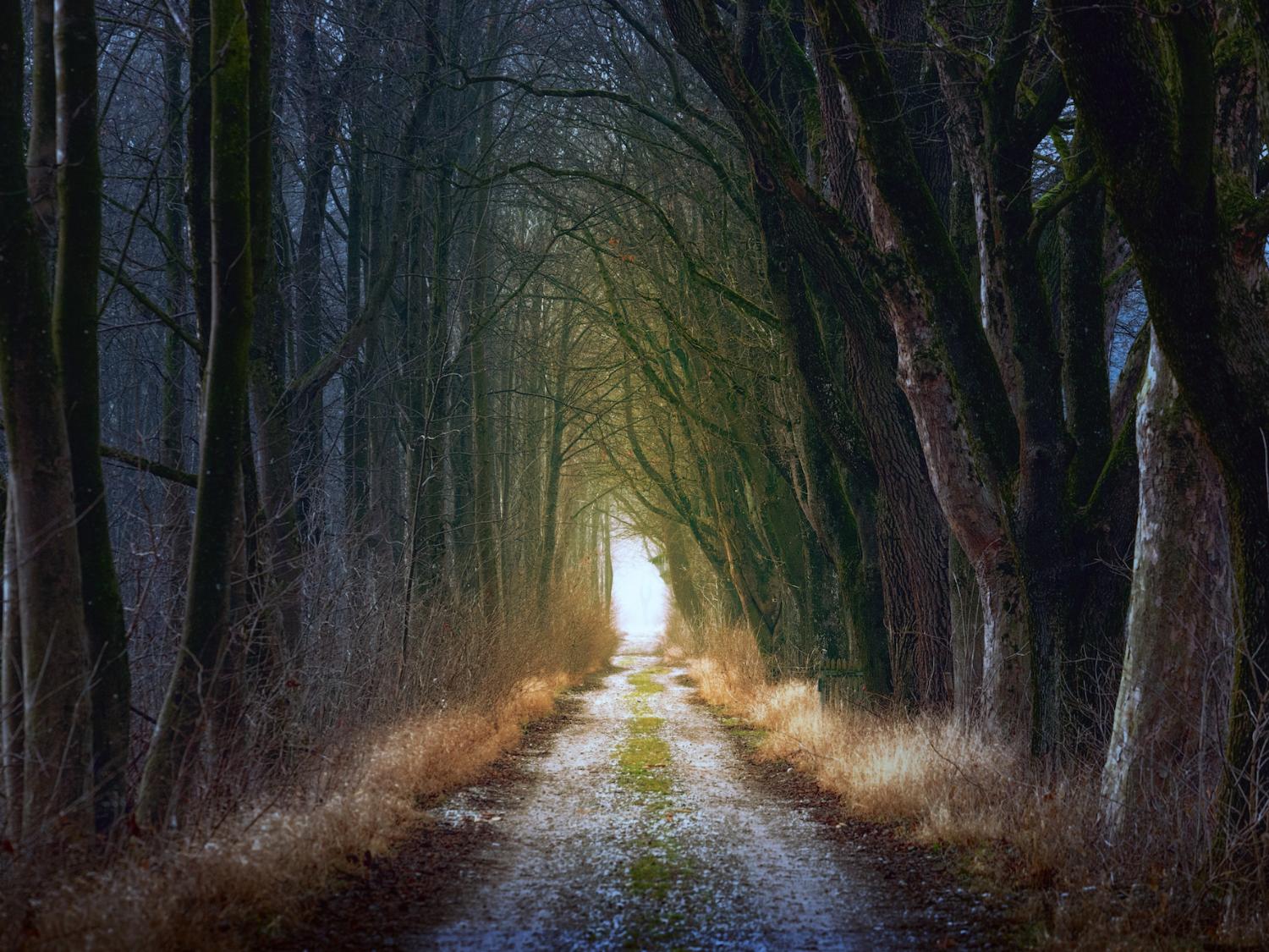 Neue Wege gehen: Aufbruchstimmung und Veränderung in der Region Düren-Eifel.