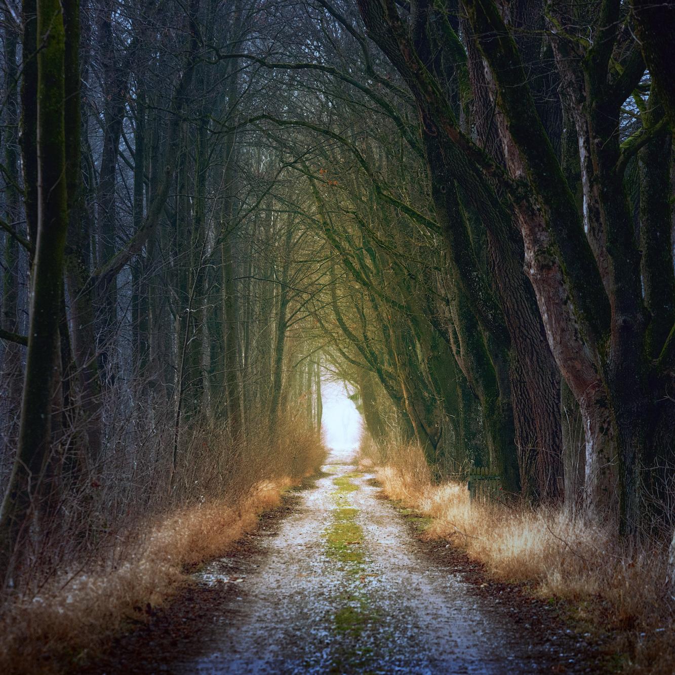 Neue Wege gehen: Aufbruchstimmung und Veränderung in der Region Düren-Eifel.