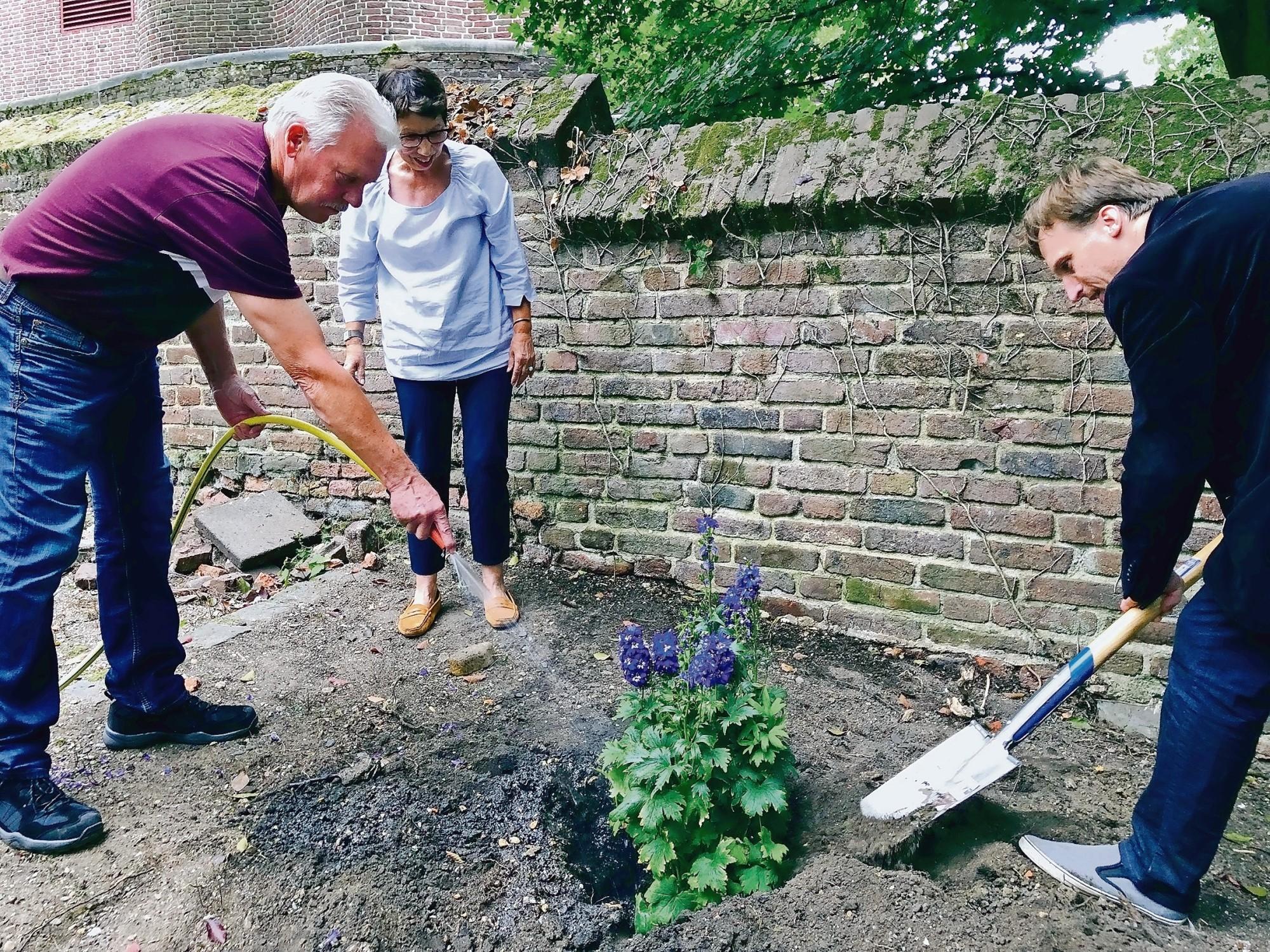 Der Rittersporn ist die erste neue Pflanze im Schöpfungsgarten. Mit ihm weiht Uwe Reindorf auch den Spaten ein.
