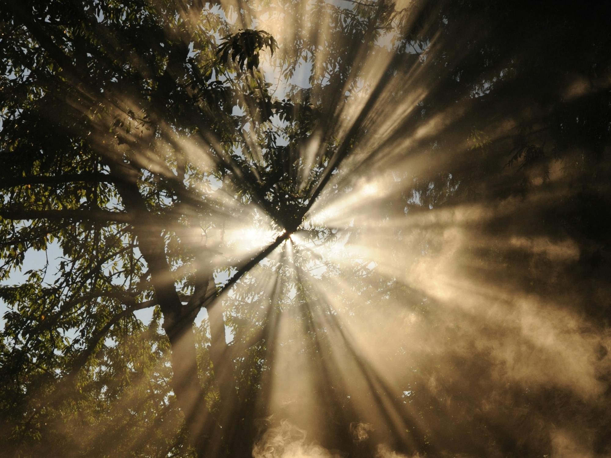Sonnenstrahlen im Gegenlicht