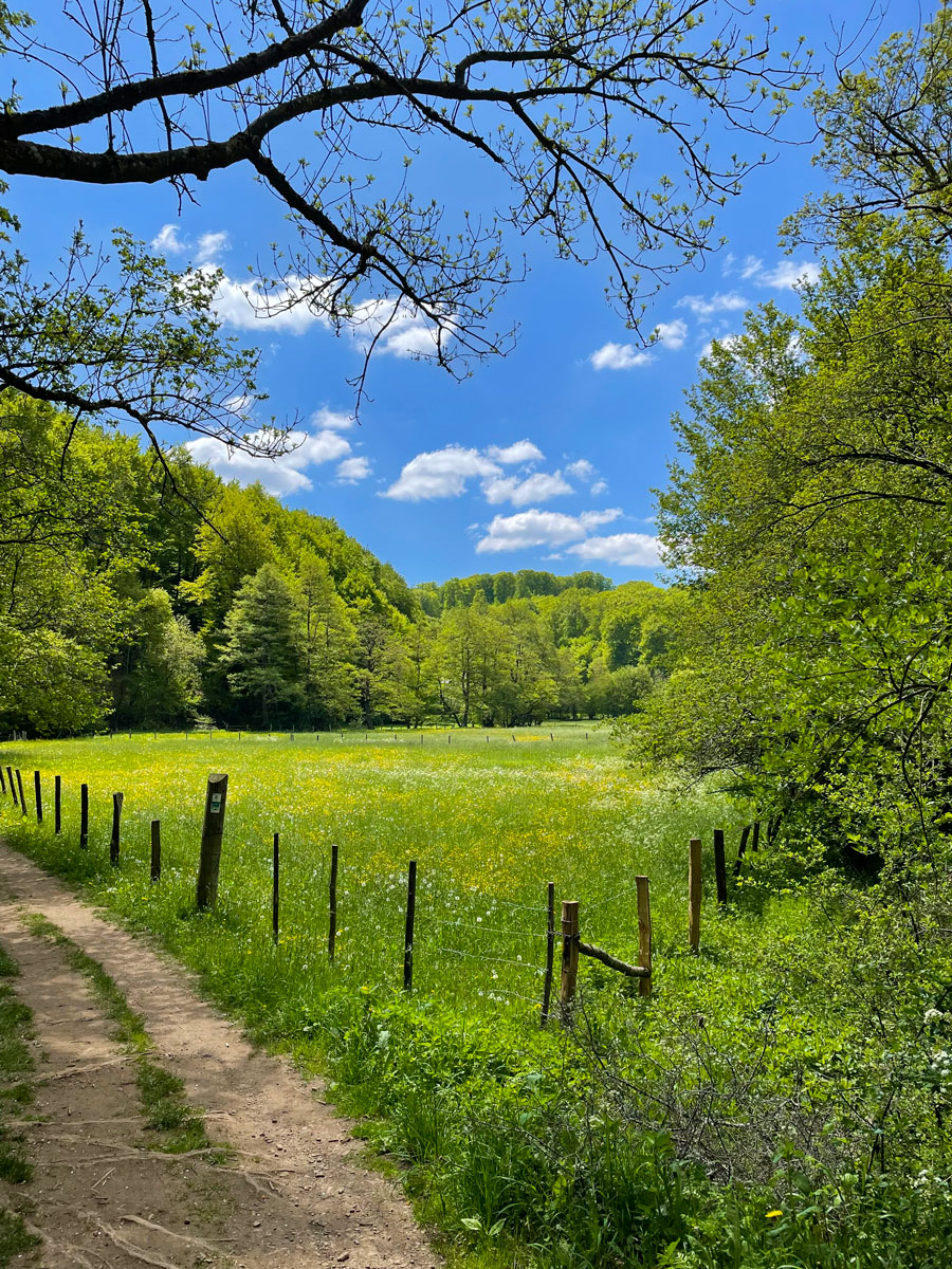Aufbrechen und Aufwind spüren, c.NPS