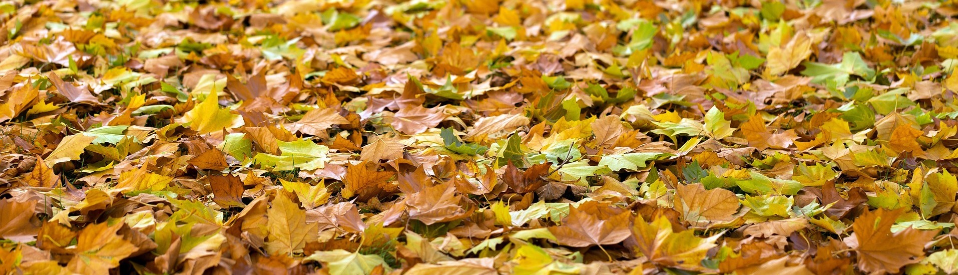 Herbstferien