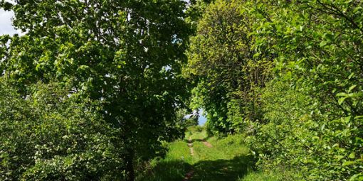 Feldweg
