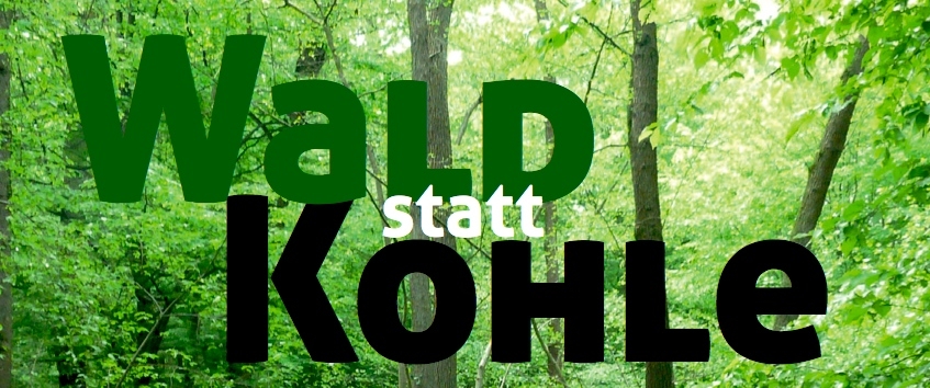Hambacher Wald (c) Katholikenrat Düren