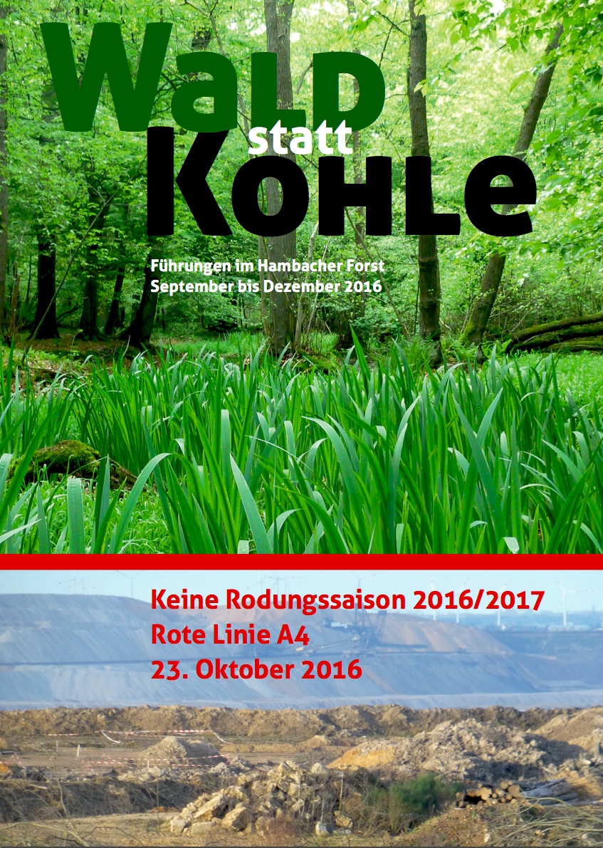 Wald statt Kohle (c) Hambacher Forst / Zobel Natur