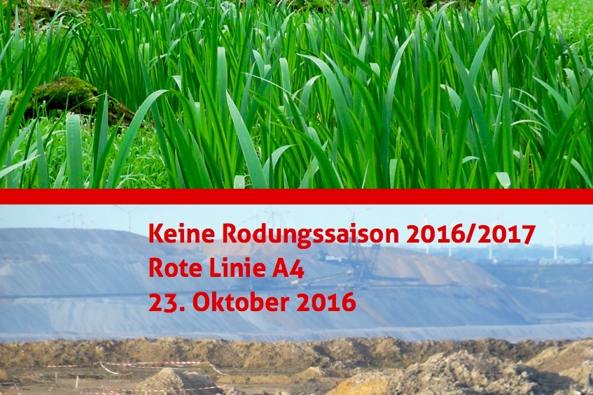 rote linie (c) Keine Rodungssaison 2016/2017