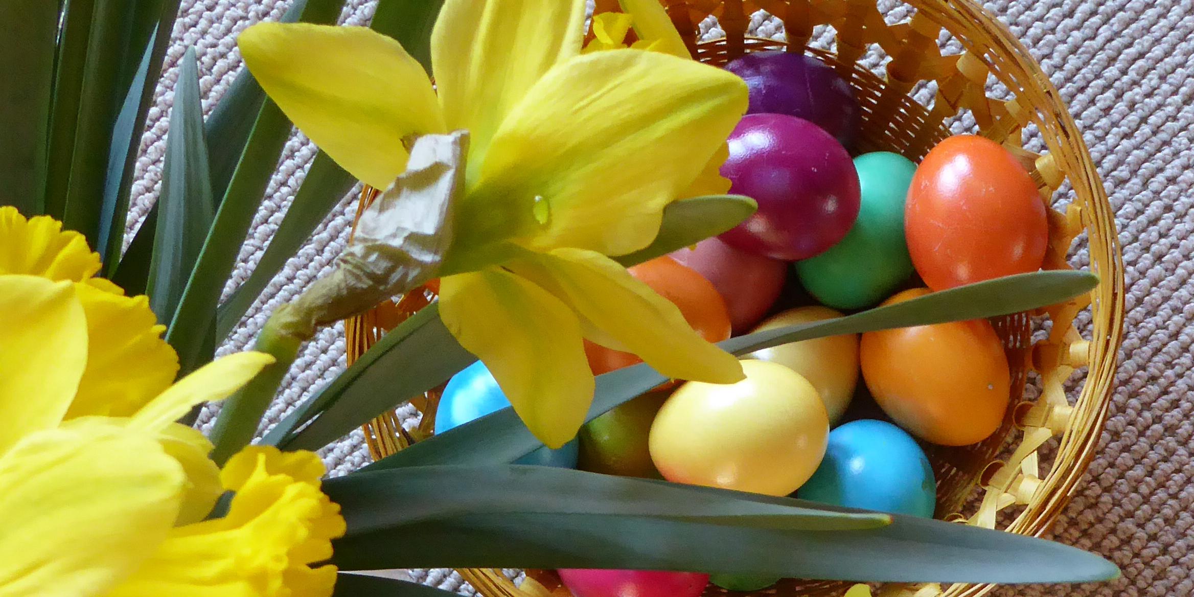 Osterbild Narzissen mit Ostereier