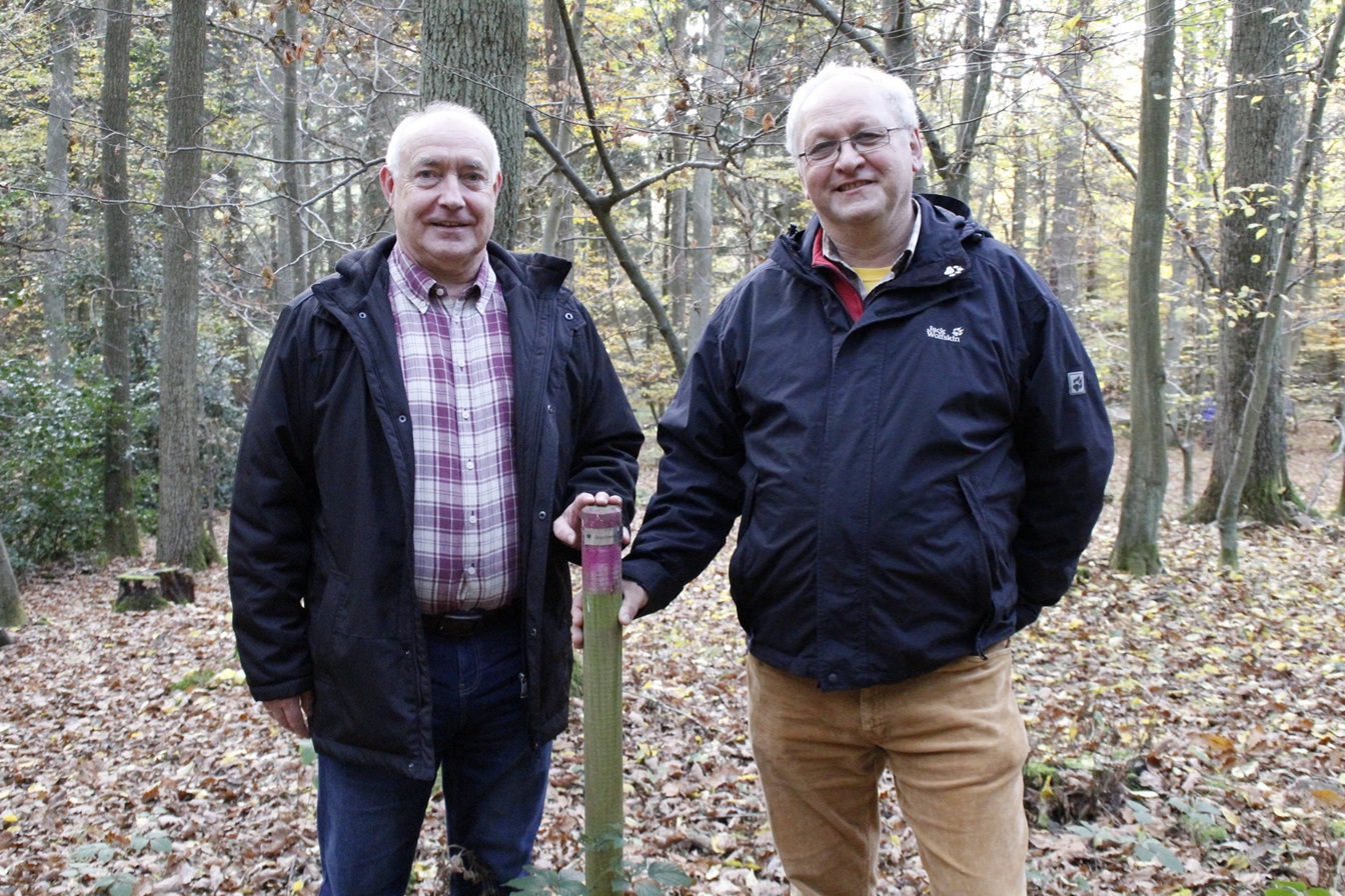Im Gotteswald: Helmut Müller vom Kirchenvorstand St. Willibrordus, Nöthen, (r.) und der frühere Rendant Berti Jannes.