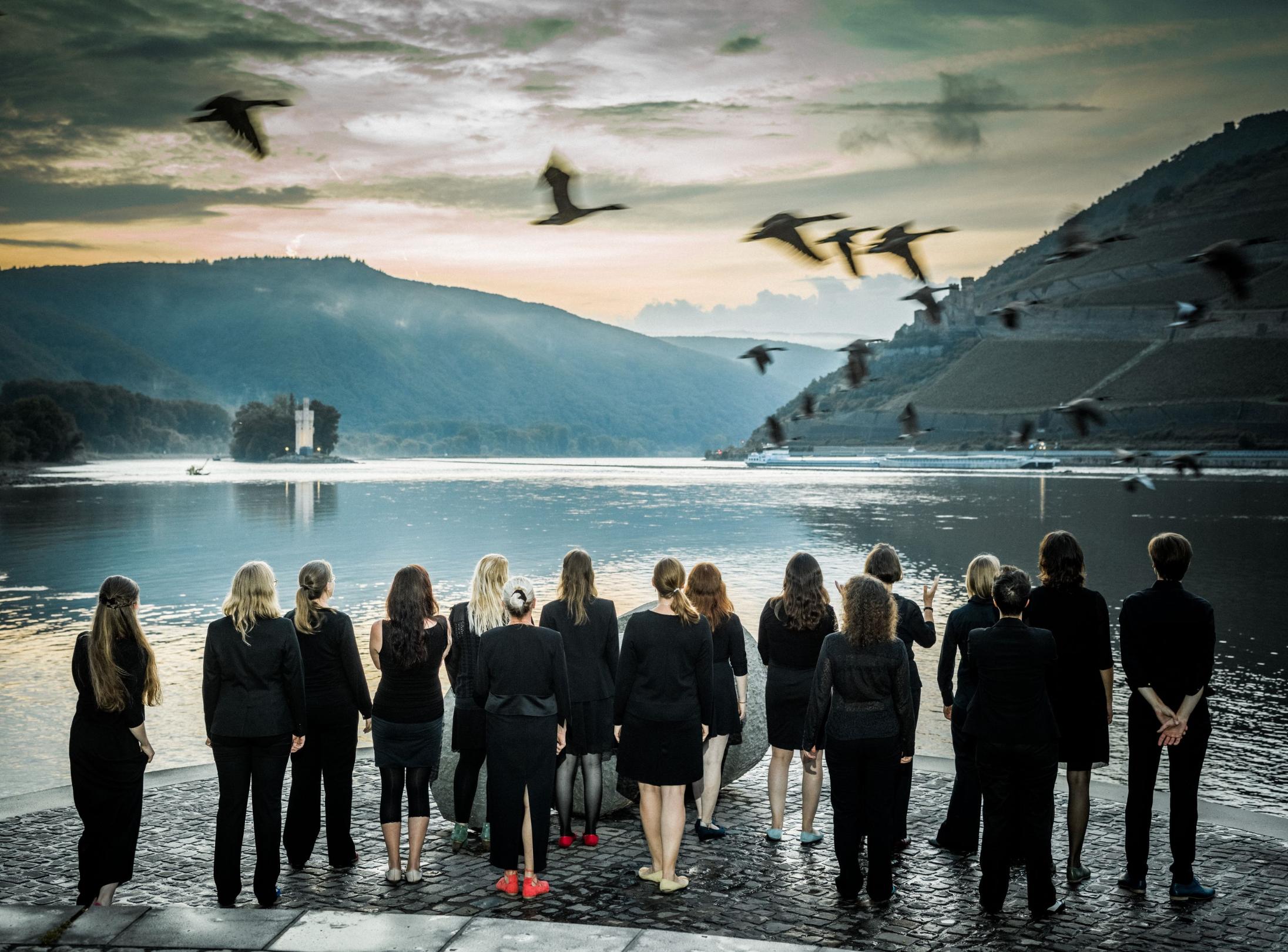 Clara Voce Foto Birds -