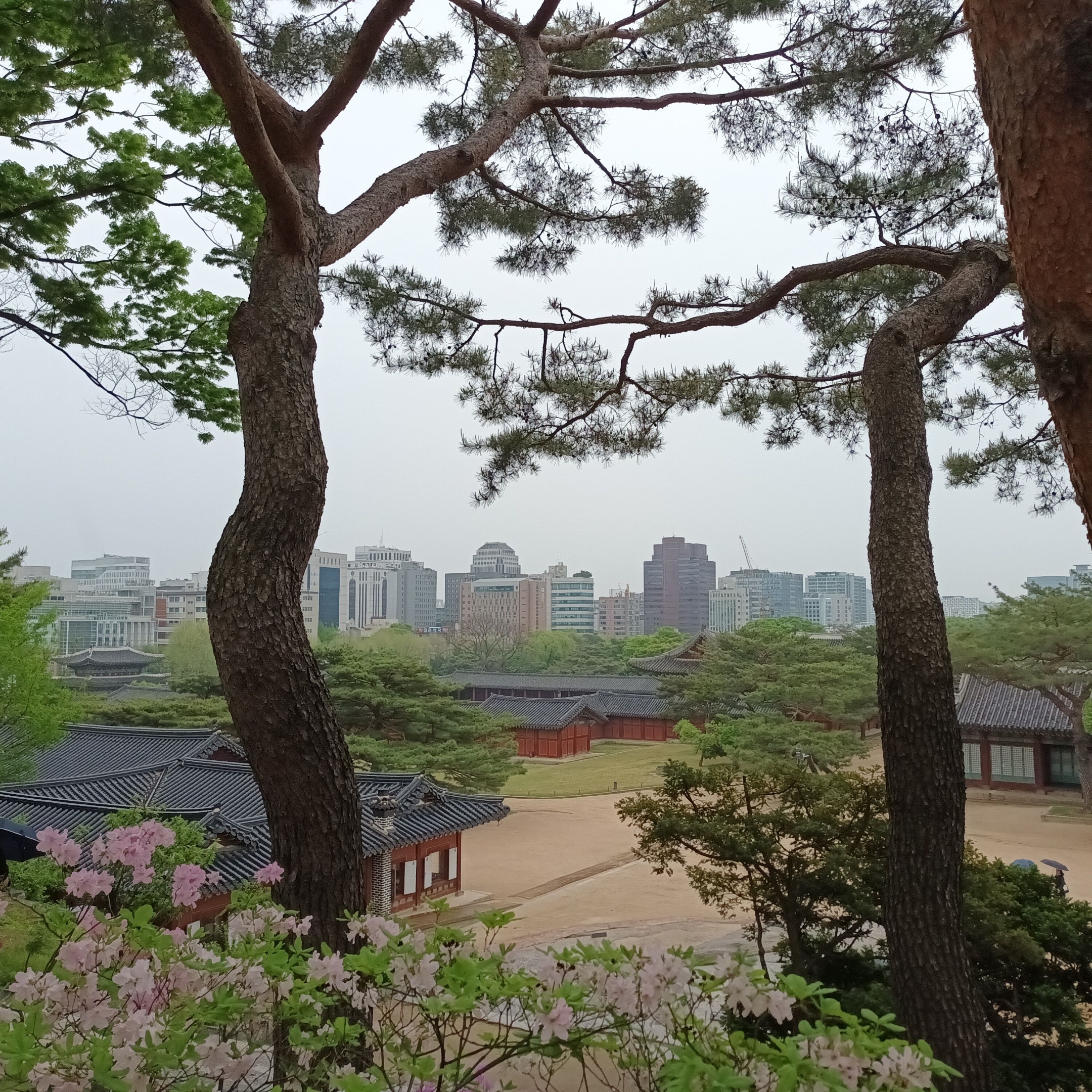 Seoul - Kontrast zwischen Natur und urbanem Flair