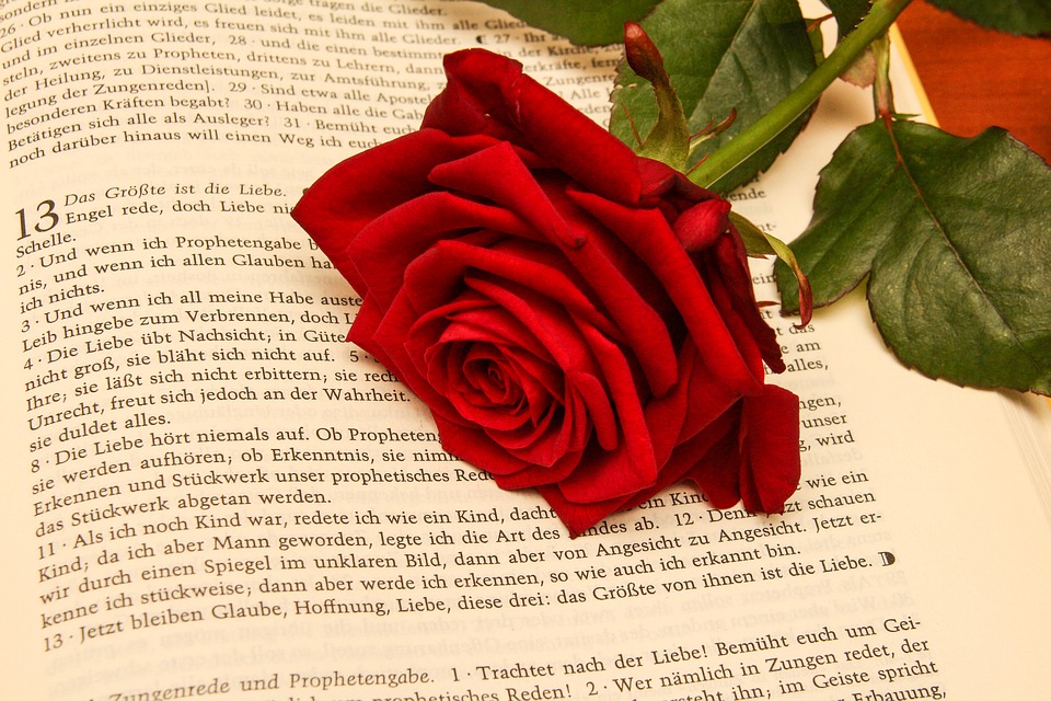 BibelRose (c) Pixabay
