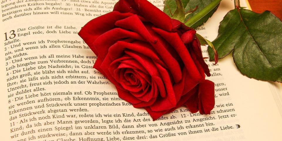 BibelRose