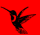 Kolibri (c) Weggemeinschaft BBB