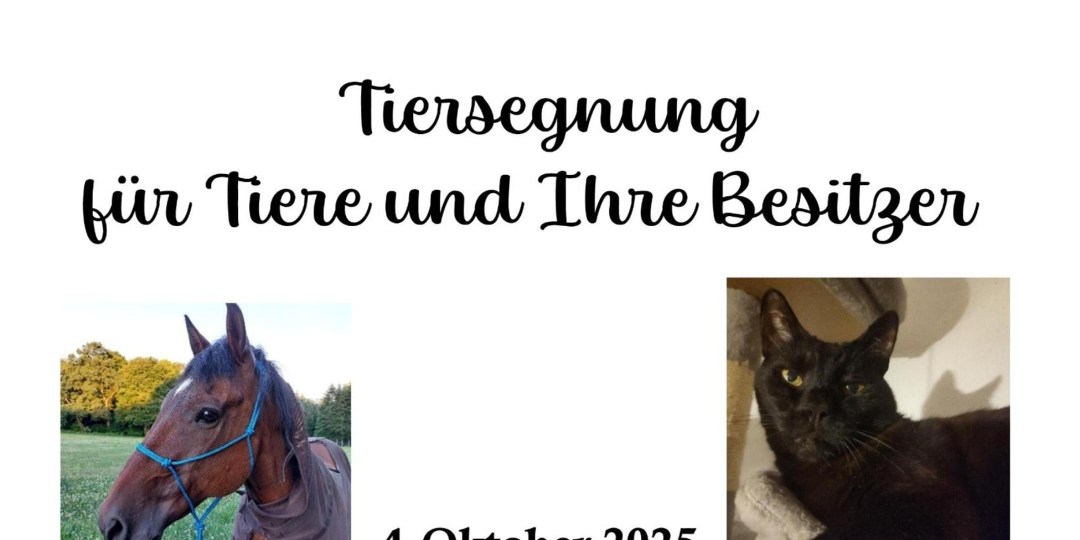 Tiersegnung 2025 Ökumenische Begegnungsstätte