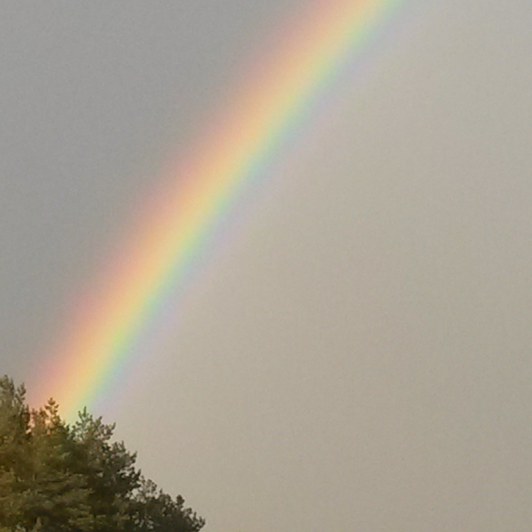 1.-Fastensonntag-Regenbogen (c) Edith Furtmann