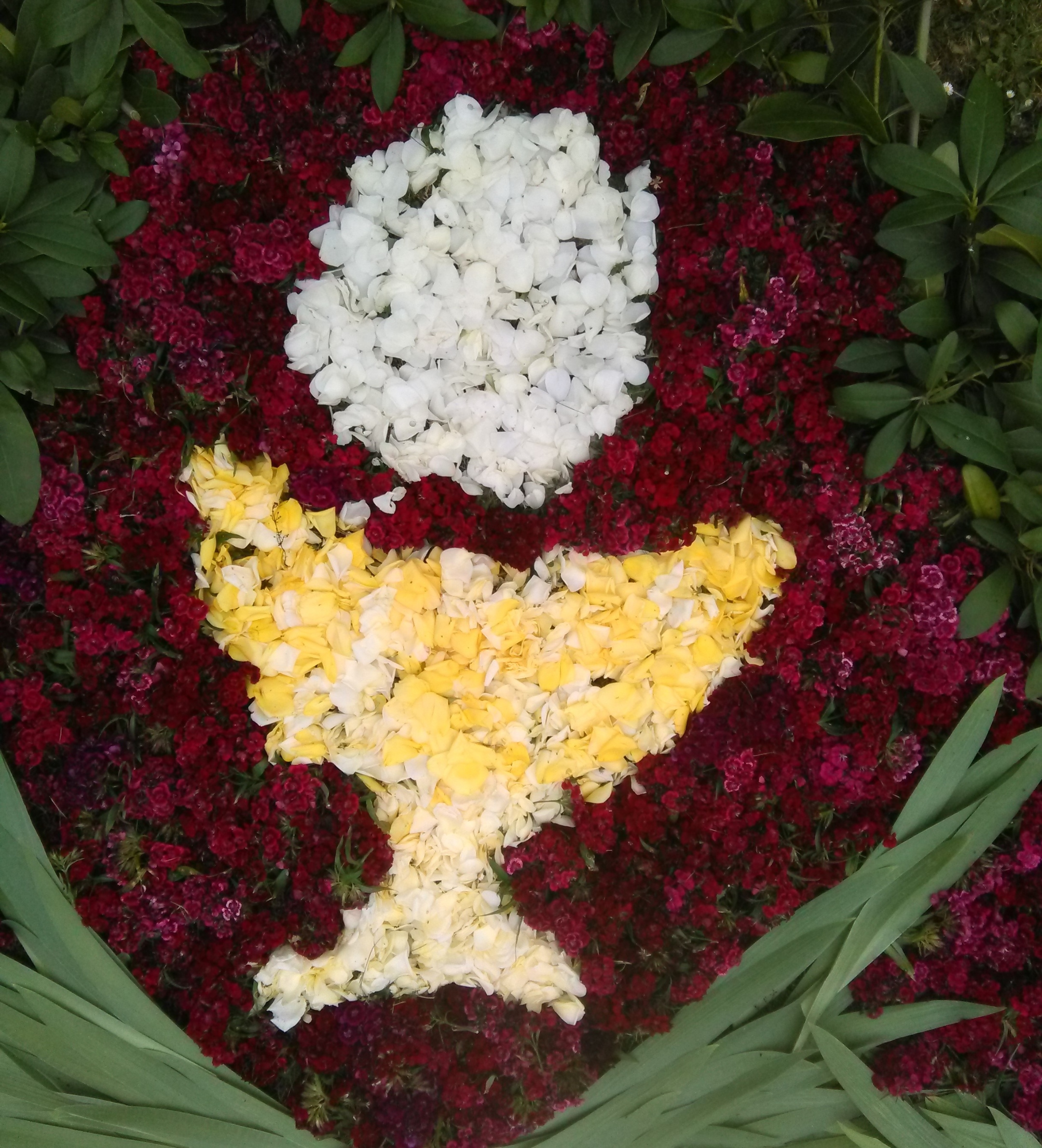 Bodenblumenbild