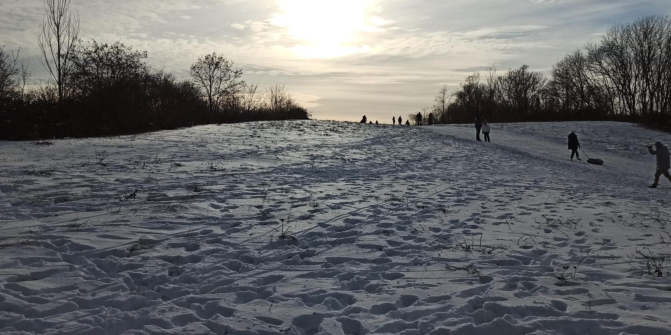 Schneelandschaft