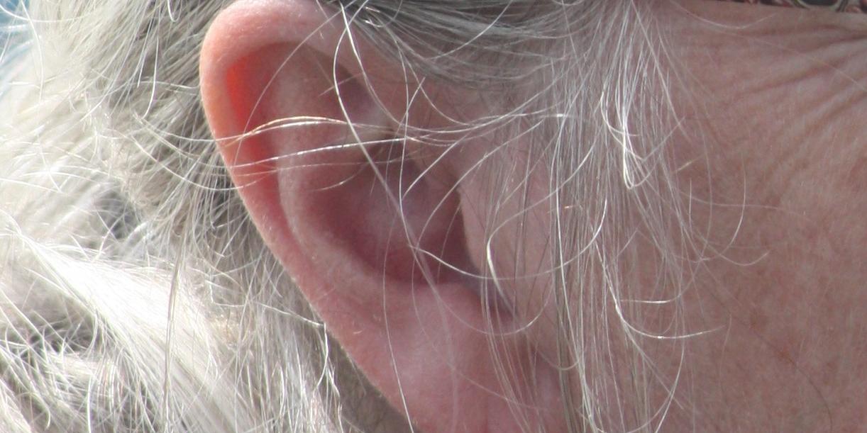 Wochenimpuls-Foto-210905-Ohr