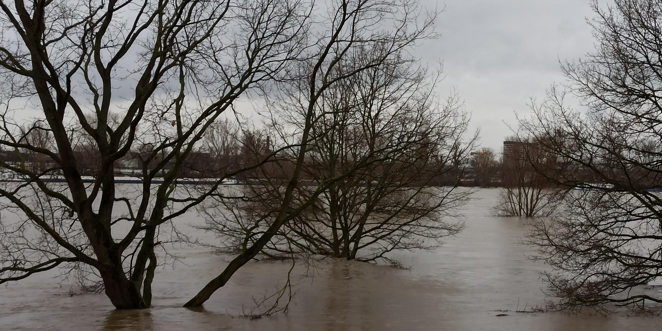 Wochenimpuls-Foto-211114-Hochwasser