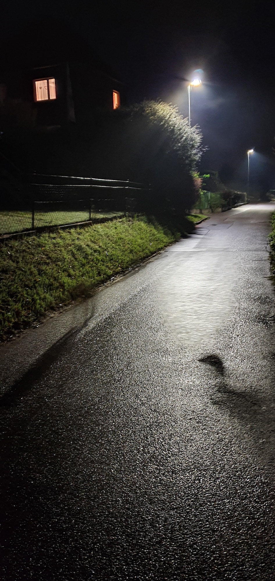 2021_01_06 Ente bei Nacht Kopie