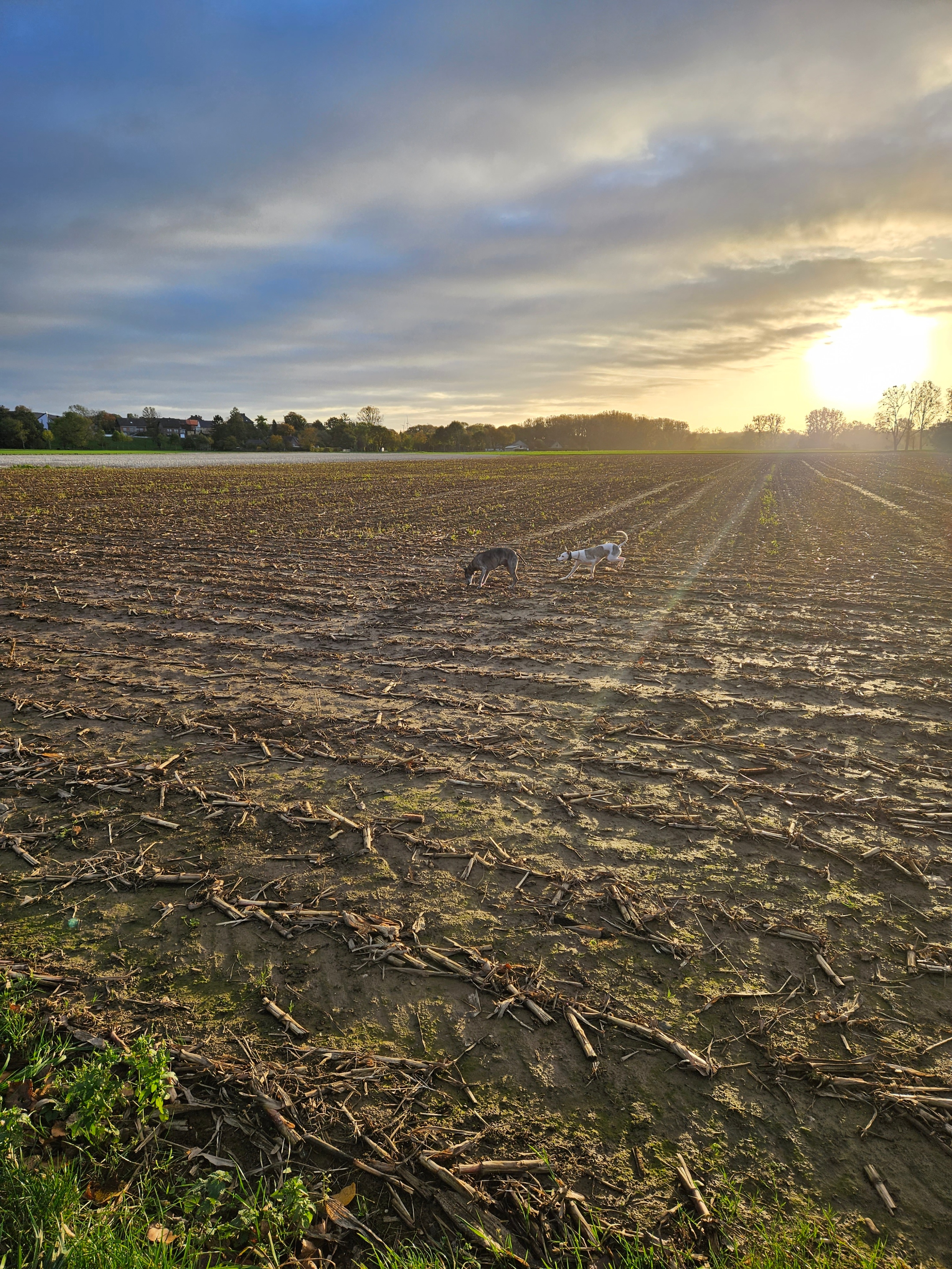 2023_11_14_Novembertag