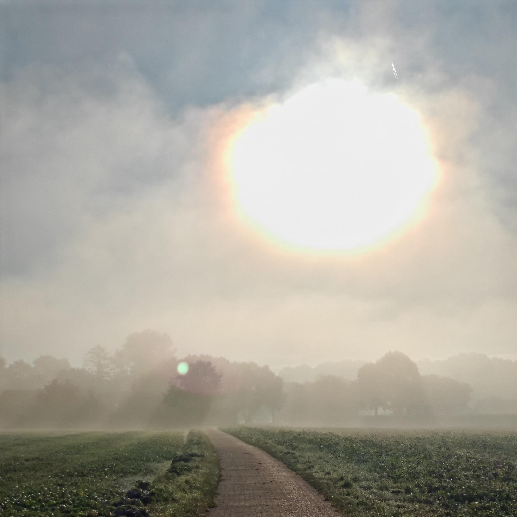 2024_10_Nebel Kopie