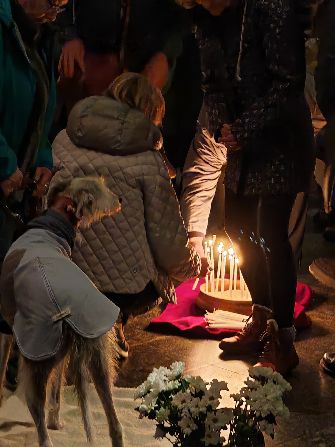 2025_11_16-WGF Tiertrauer 03