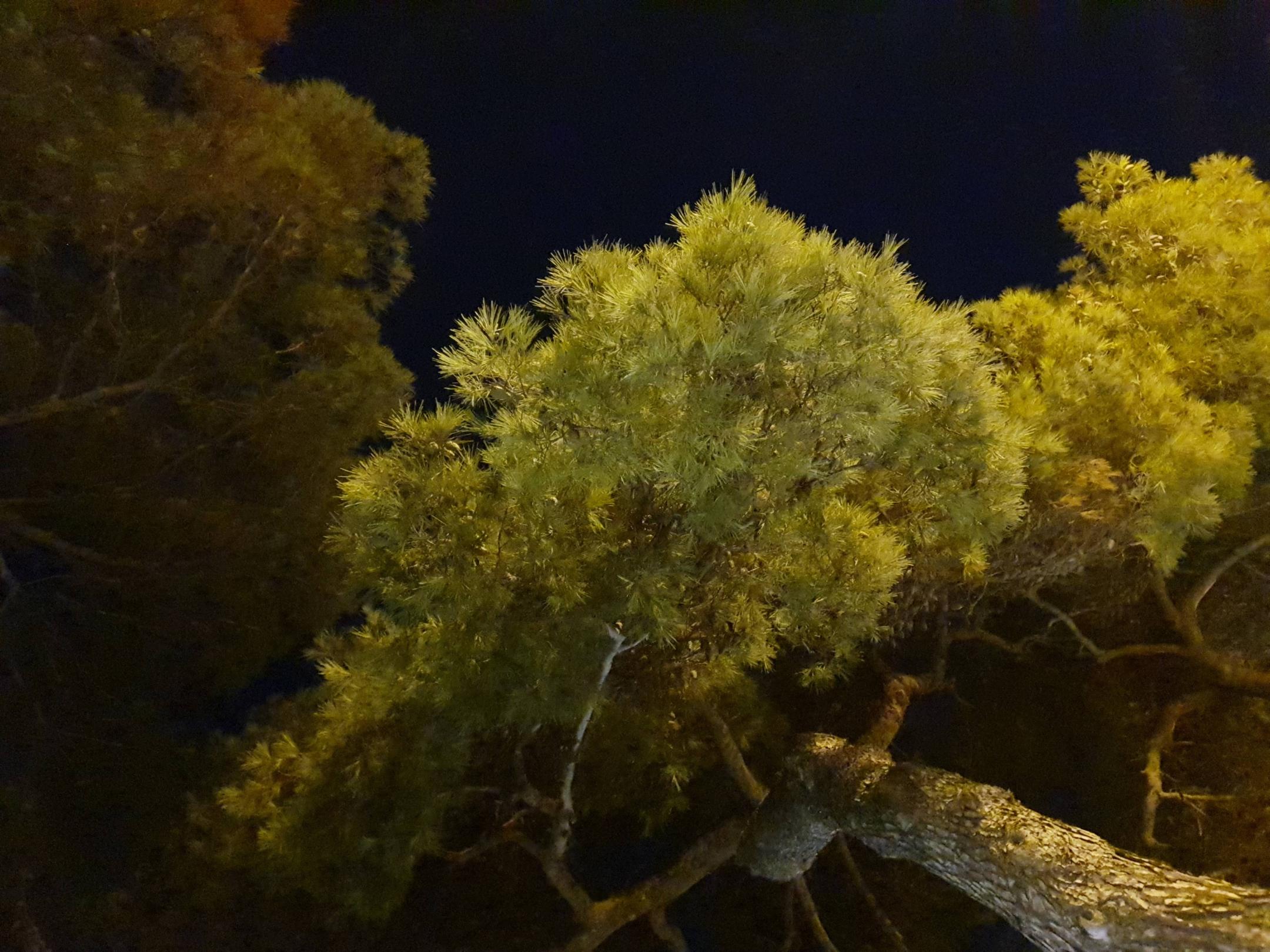 20190909_202849-1