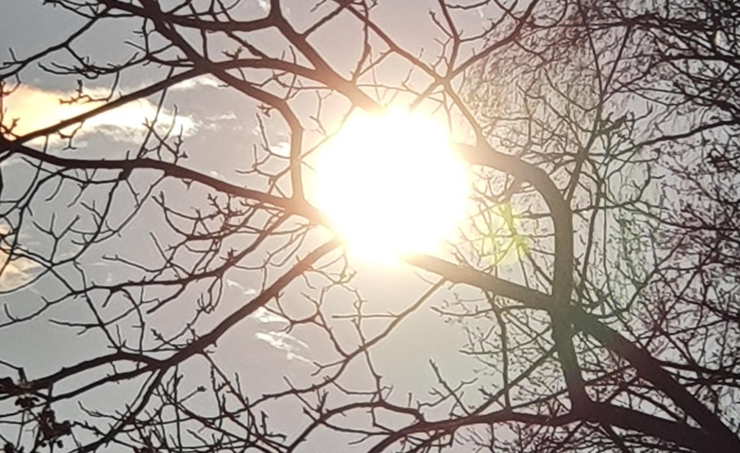 2020_03_19_Morgenspaziergang