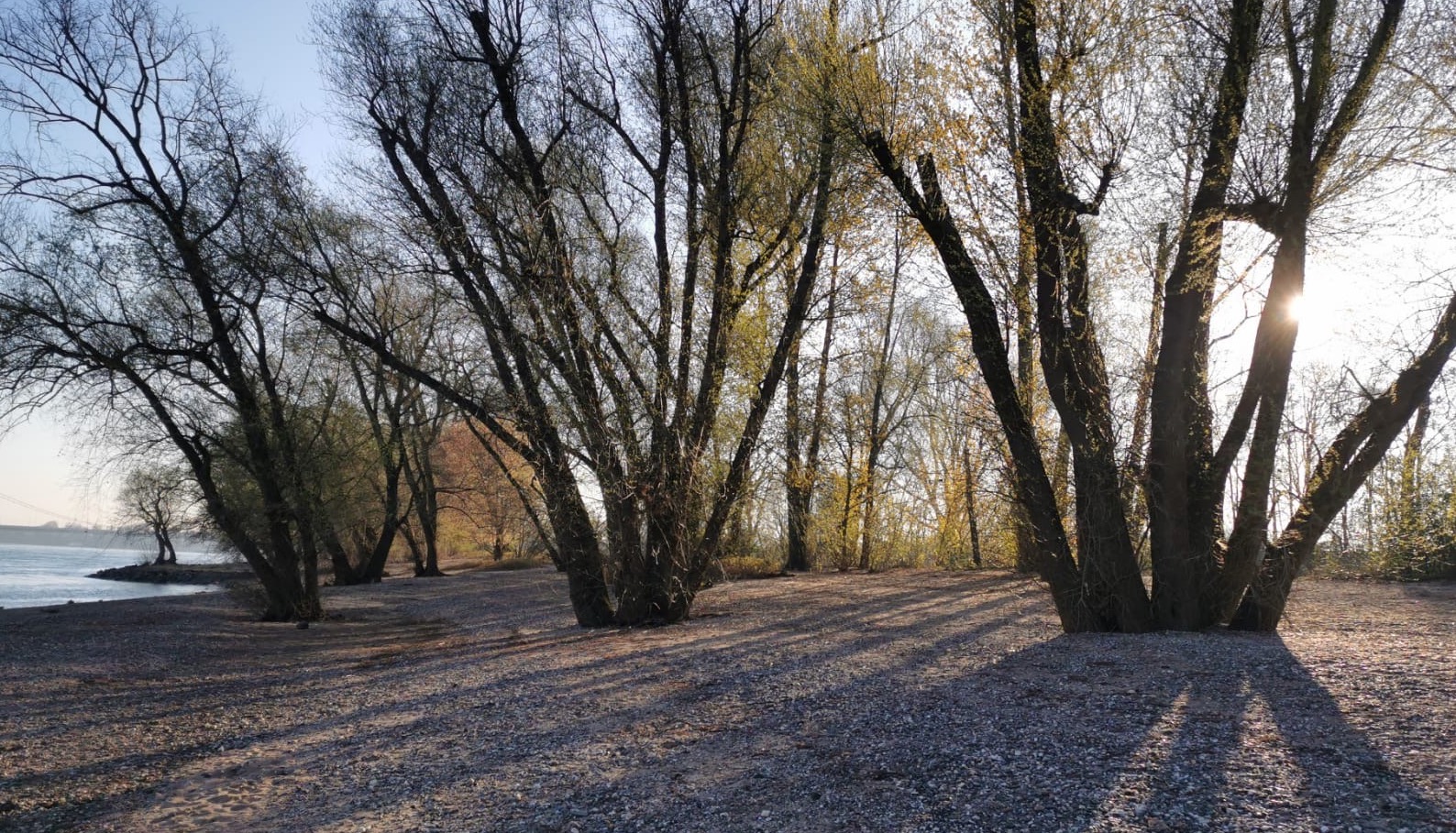 2020_04_06_Rheinwiesen_Kopie_A.Keil