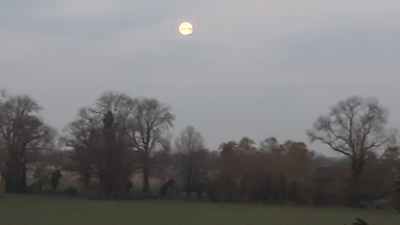 2020_04_08_Morgenstimmung_S.Nolting