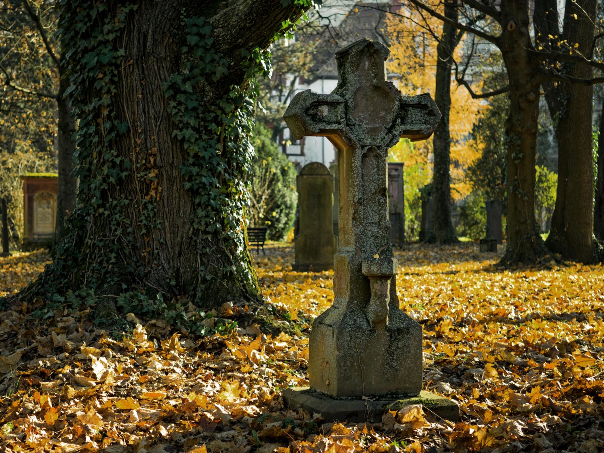 Friedhof