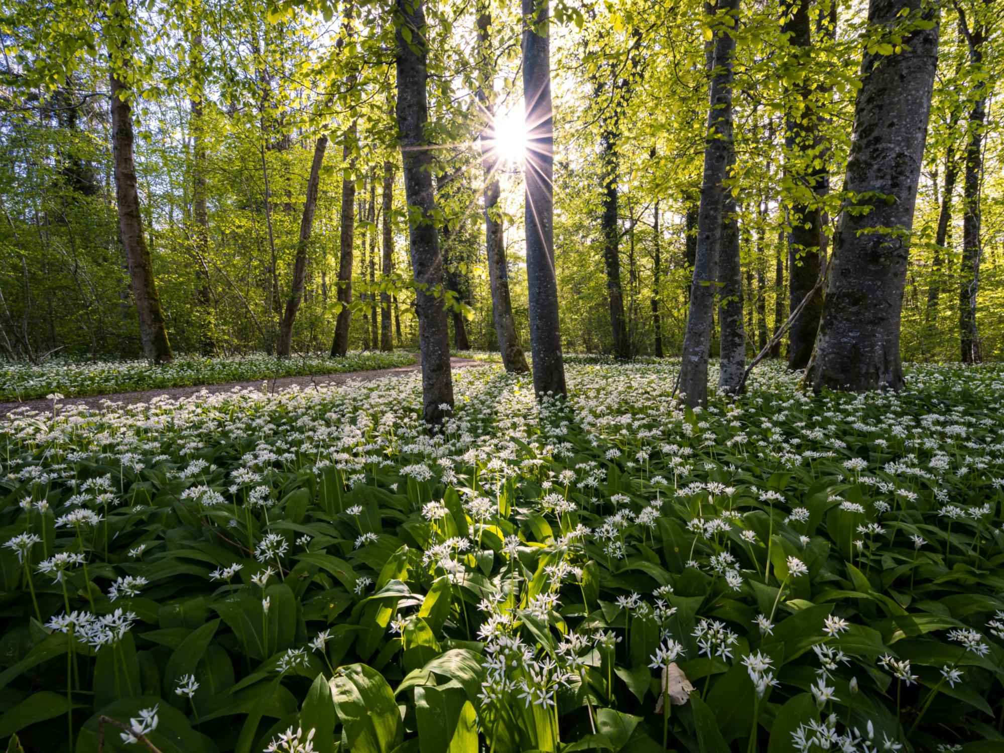 Foto von  Pascal Debrunner