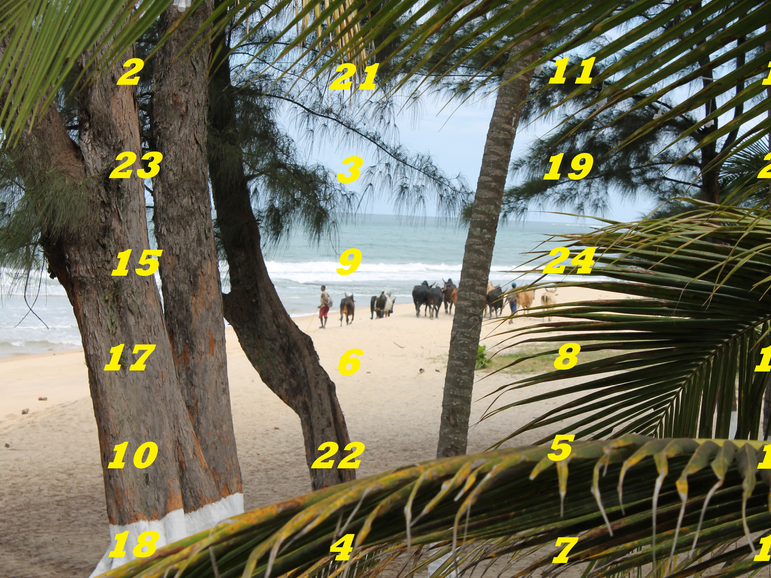 Adventskalender Madagaskar