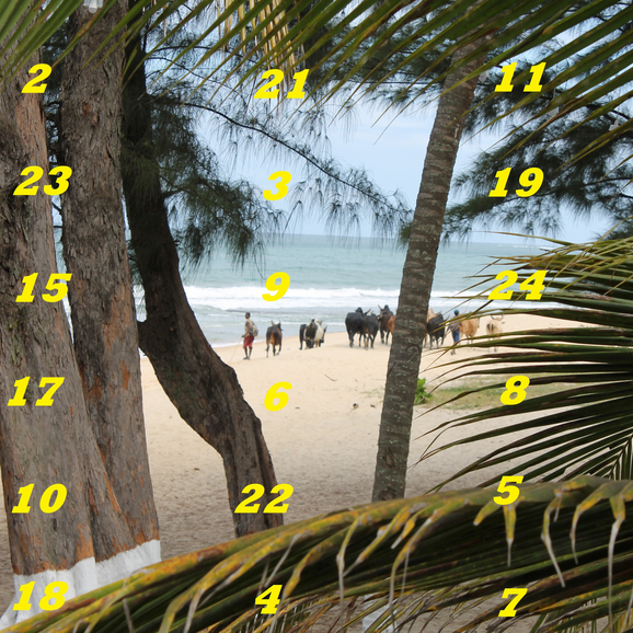 Adventskalender Madagaskar