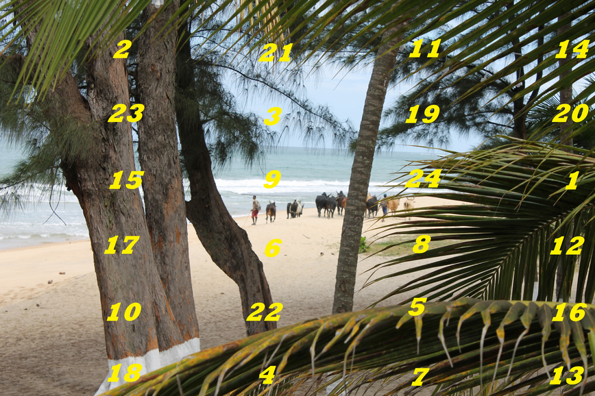 Adventskalender Madagaskar