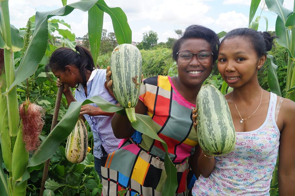 Das Projekt Grüne Gurke in Madagaskar
